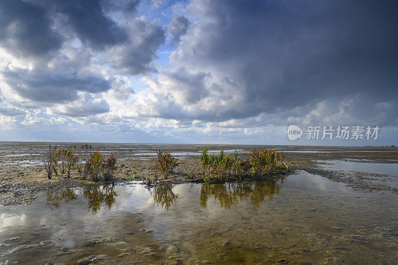 在荷兰北部的瓦登海自然保护区“de Wadden”，有潮汐沙滩的空旷景观